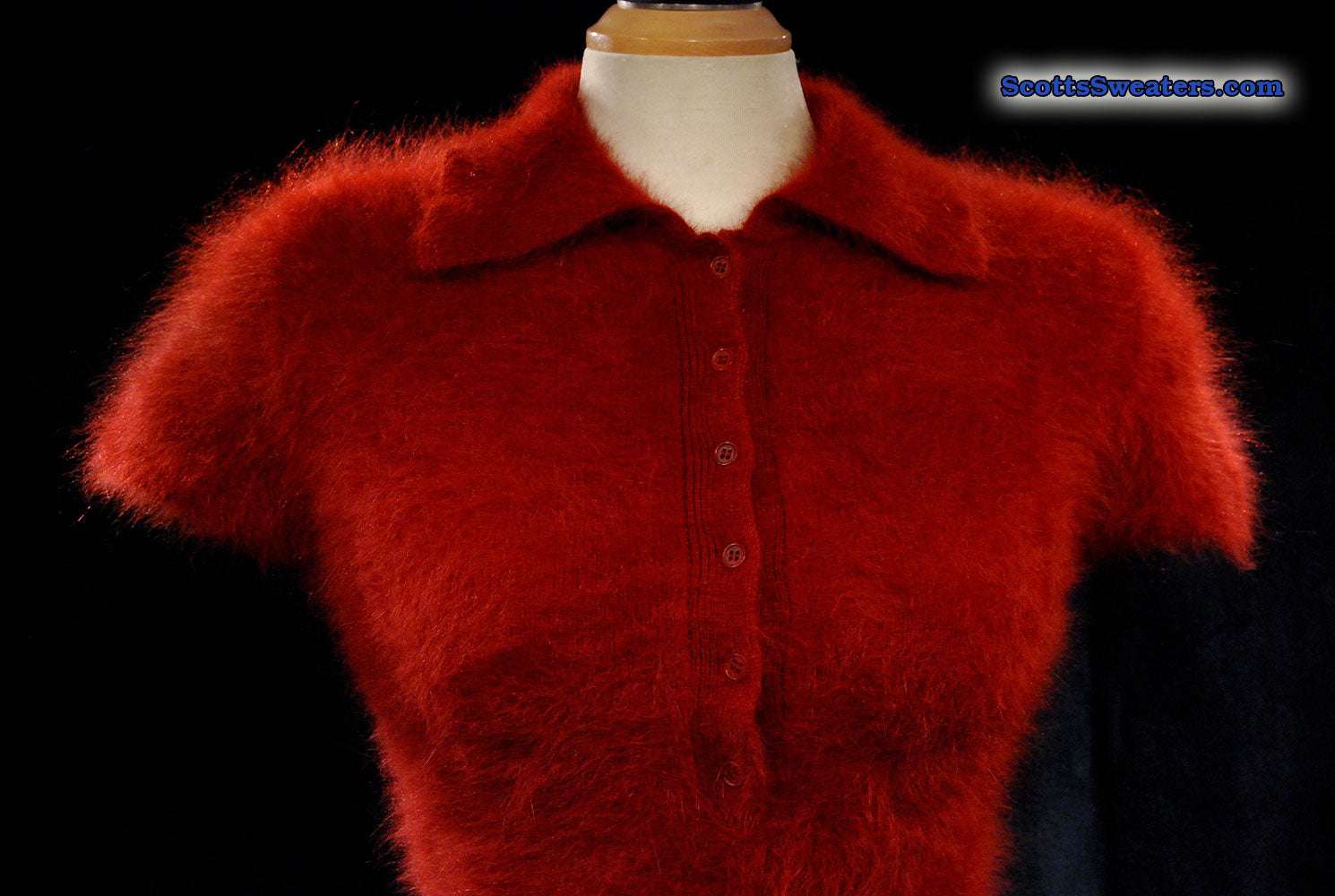 Woman's burgundy short-sleeved angora sweater with collar and buttons by J.Crew