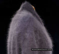 Woman's open-front angora cardigan sweater with turn-down collar and lantern sleeves by Cocol